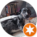 Gian profile picture